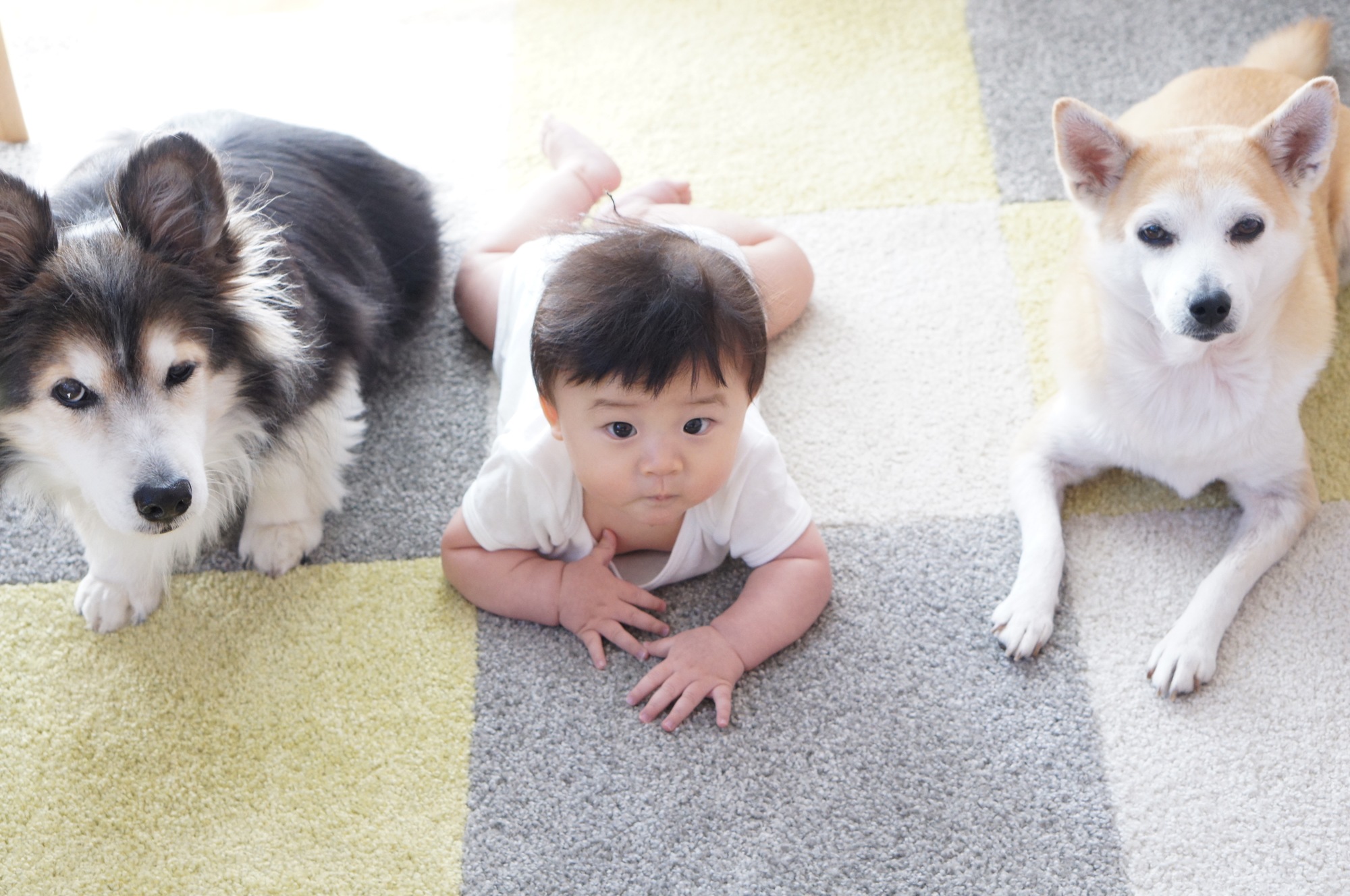 お客様に＜安心と安全＞を！の写真